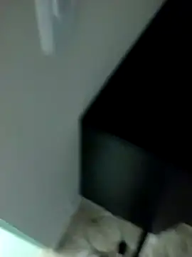 lm279 online show from 17, 2, 2025