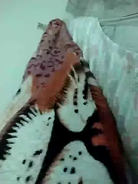 lm279 online show from 16, 3, 2025