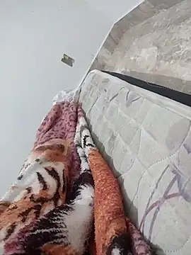 lm279 online show from 27, 2, 2025