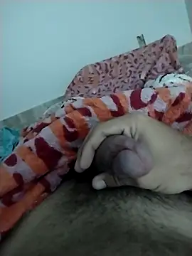 lm279 online show from 13, 2, 2025