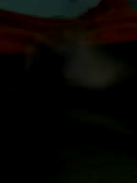 lm279 online show from 25, 10, 2025