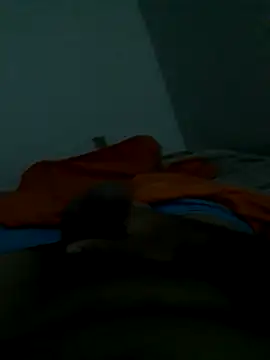 lm279 online show from 17, 1, 2026