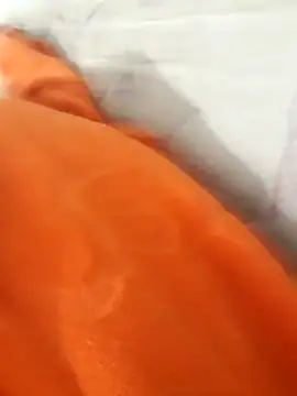 lm279 online show from 21, 11, 2025