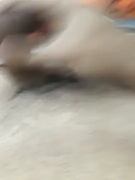 lm279 online show from 11, 2, 2026