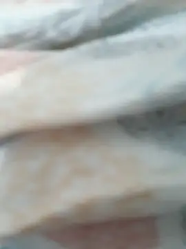 lm279 online show from 8, 1, 2026