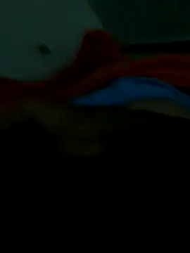 lm279 online show from 28, 11, 2025