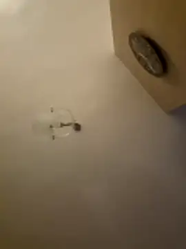 Xxxmeskadziwkaxxx88 online show from 21, 3, 2026