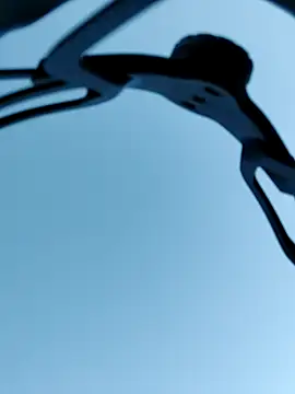 QcMisterv13 online show from 4, 10, 2025