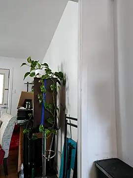 QcMisterv13 online show from 30, 9, 2025