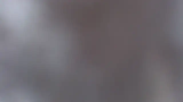 Laura-pervert online show from 9, 5, 2026