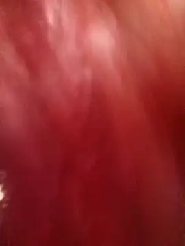 Kim 19 online show from 30, 10, 2025