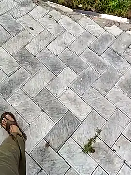 Ishan003 online show from 12, 9, 2025