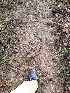 Ishan003 online show from 5, 2, 2026