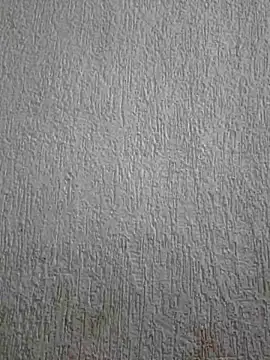 Priya Strip online show from 3, 5, 2026