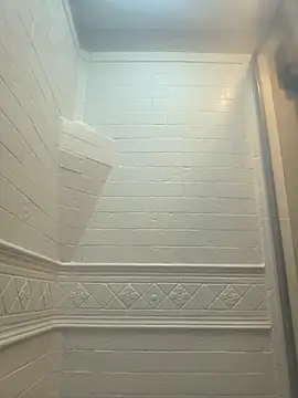 Cobra500hp online show from 29, 3, 2026