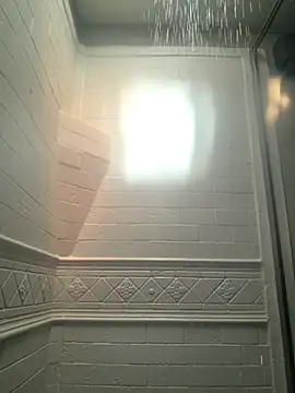 Cobra500hp online show from 27, 3, 2026