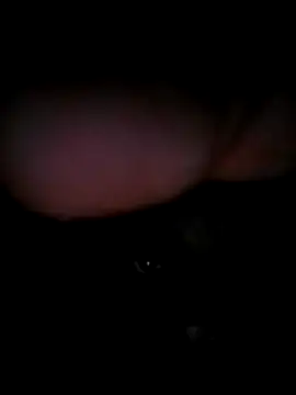 chubbybear322 online show from 19, 12, 2025