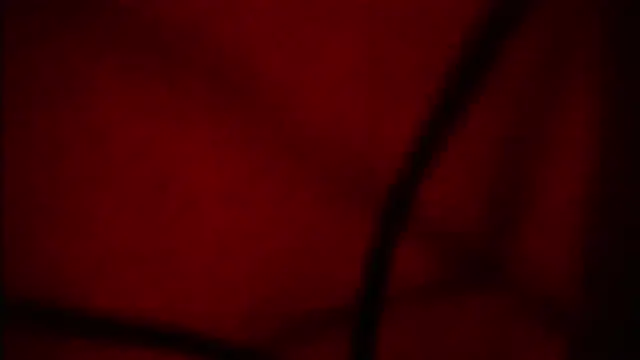 Nathaly love96 online show from 12, 9, 2025