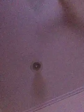 ty2003x33 online show from 26, 12, 2024