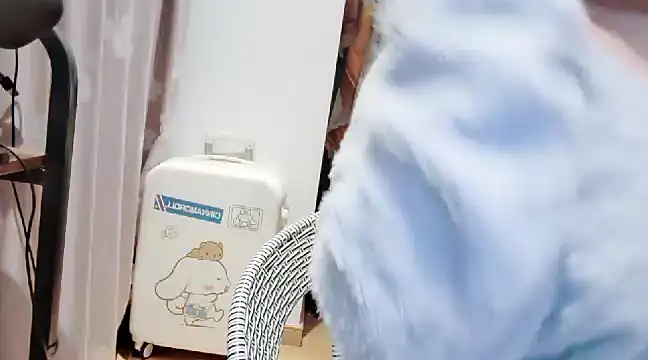 arena1357 online show from 11, 1, 2025