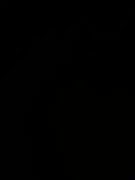 Jan4576 online show from 11, 1, 2026