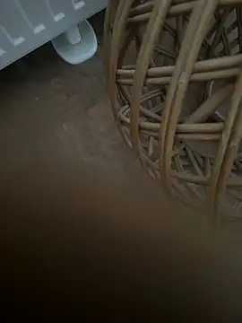 Jan4576 online show from 24, 2, 2026