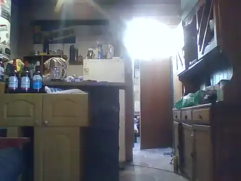 ar Lily online show from 8, 12, 2024