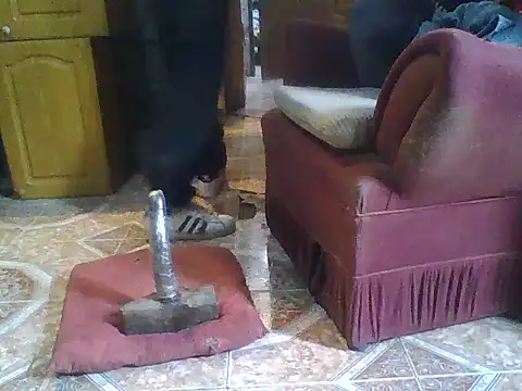 ar Lily online show from 8, 12, 2024