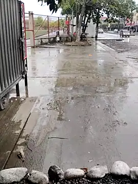 Snapshot of BeetledFlouter12 chatting on 26, 9, 2025 BeetledFlouter12 online show from 26, 9, 2025