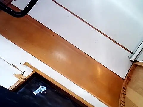 ed44435 online show from 28, 10, 2025