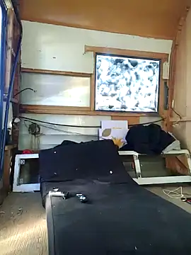 ed44435 online show from 10, 11, 2025