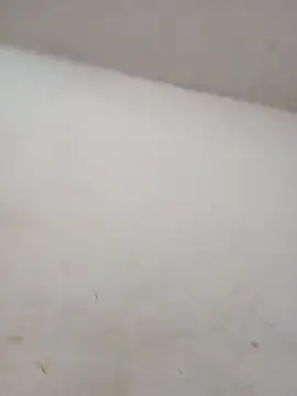 ambarlennoix online show from 1, 10, 2025