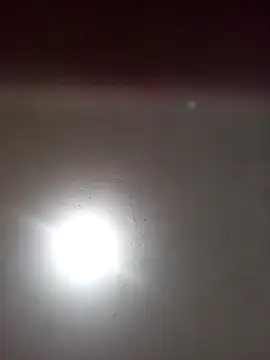 ambarlennoix online show from 13, 3, 2025