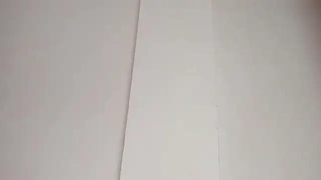 LiaFlowers online show from 23, 2, 2025