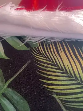 alexatransgata online show from 3, 12, 2025