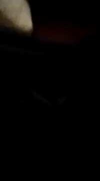 richnd333 online show from 17, 12, 2024