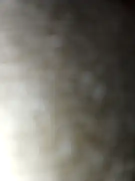 Sexybeer2005 online show from 1, 12, 2025