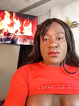 exoty black cock online show from 14, 2, 2026