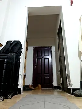 DDYY12341 online show from 18, 11, 2025