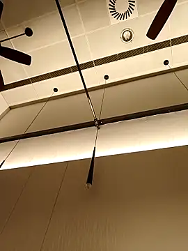 DDYY12341 online show from 4, 11, 2025