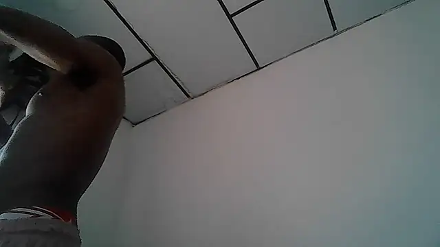 Alphadavid 23 online show from 30, 4, 2026