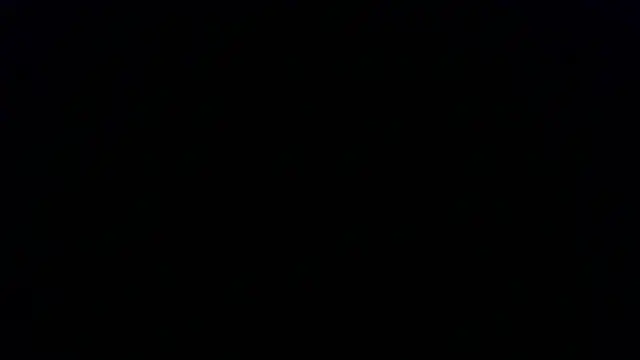 Kashtanka  online show from 22, 11, 2025