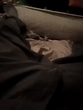 armdy371 online show from 15, 11, 2025