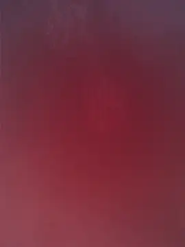 maria4465 online show from 22, 2, 2026