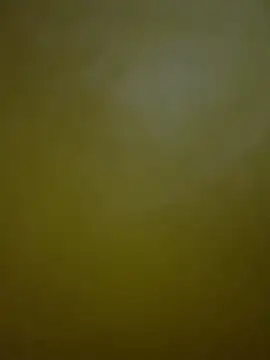 HeviZ online show from 21, 1, 2025