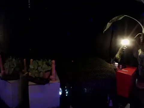 laye19 online show from 2, 10, 2025