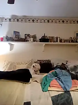 Hand69someguy online show from 4, 10, 2025