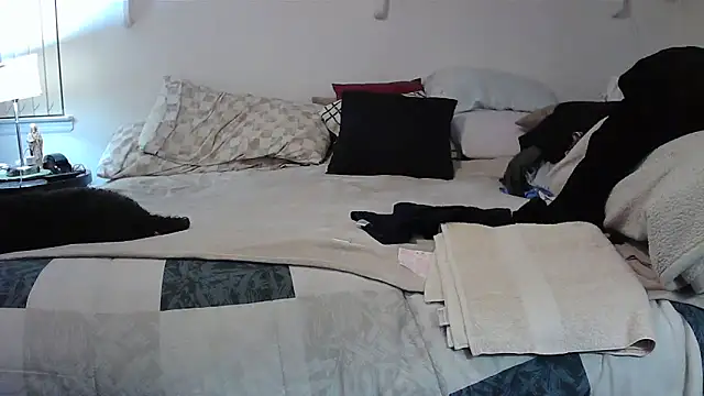 Hand69someguy online show from 2, 11, 2025