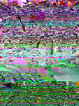 indosmoke online show from 28, 10, 2025