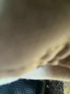 indosmoke online show from 7, 10, 2025